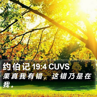 约 伯 记 19:4 CUVS Bible Verse Image