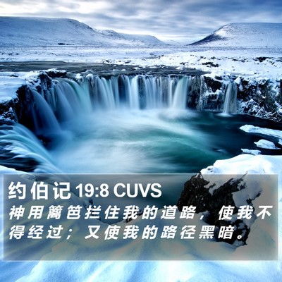 约 伯 记 19:8 CUVS Bible Verse Image