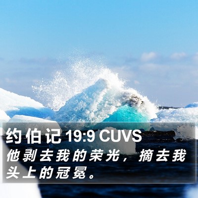 约 伯 记 19:9 CUVS Bible Verse Image