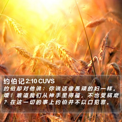约 伯 记 2:10 CUVS Bible Verse Image