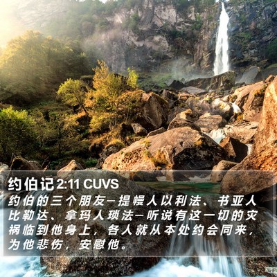约 伯 记 2:11 CUVS Bible Verse Image