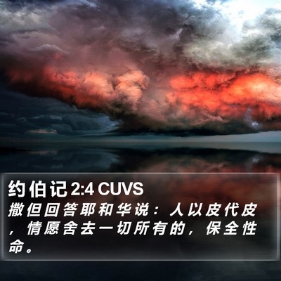 约 伯 记 2:4 CUVS Bible Verse Image