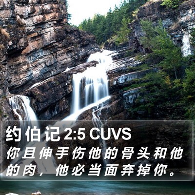 约 伯 记 2:5 CUVS Bible Verse Image