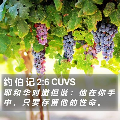 约 伯 记 2:6 CUVS Bible Verse Image