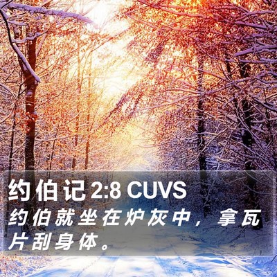 约 伯 记 2:8 CUVS Bible Verse Image