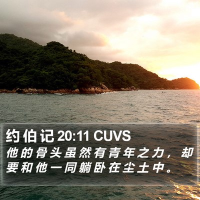 约 伯 记 20:11 CUVS Bible Verse Image