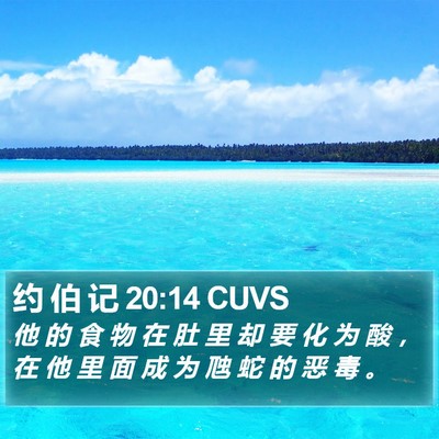 约 伯 记 20:14 CUVS Bible Verse Image