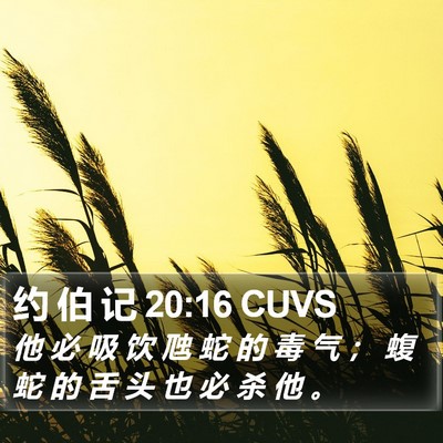 约 伯 记 20:16 CUVS Bible Verse Image