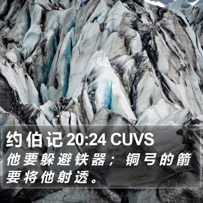 约 伯 记 20:24 CUVS Bible Verse Image