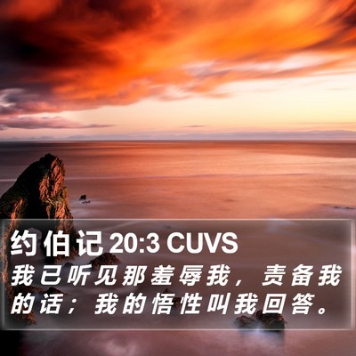 约 伯 记 20:3 CUVS Bible Verse Image