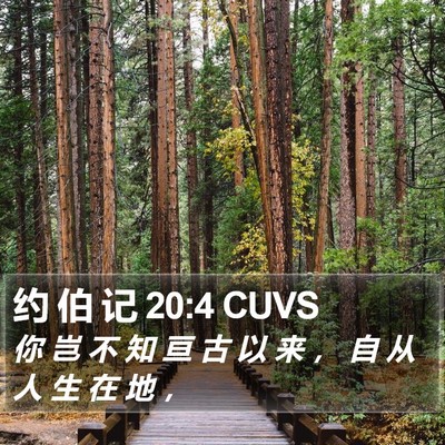 约 伯 记 20:4 CUVS Bible Verse Image