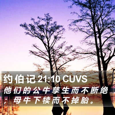 约 伯 记 21:10 CUVS Bible Verse Image