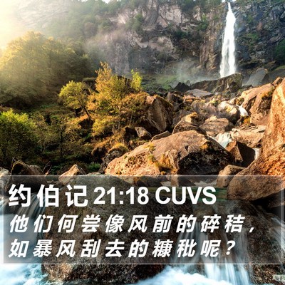 约 伯 记 21:18 CUVS Bible Verse Image