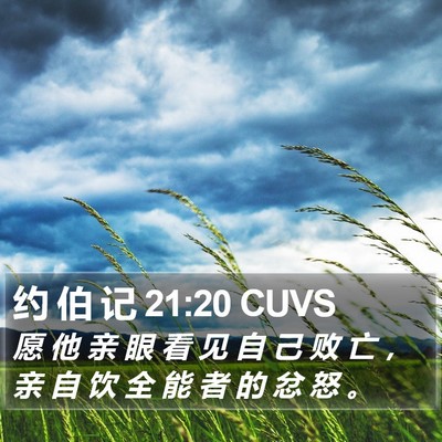 约 伯 记 21:20 CUVS Bible Verse Image