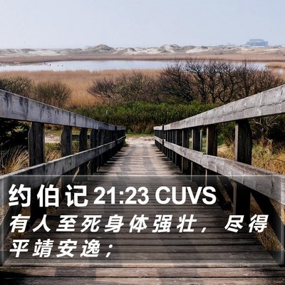 约 伯 记 21:23 CUVS Bible Verse Image