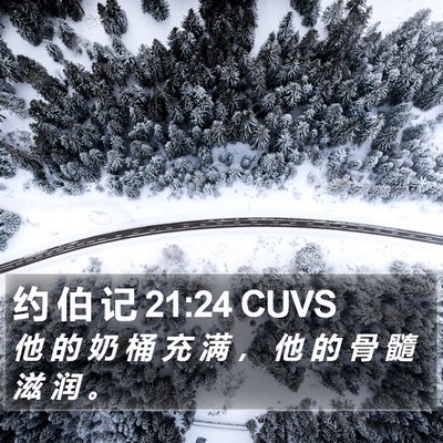 约 伯 记 21:24 CUVS Bible Verse Image