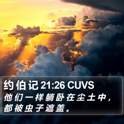 约 伯 记 21:26 CUVS Bible Verse Image