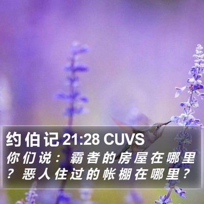约 伯 记 21:28 CUVS Bible Verse Image