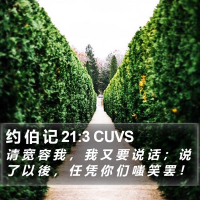 约 伯 记 21:3 CUVS Bible Verse Image