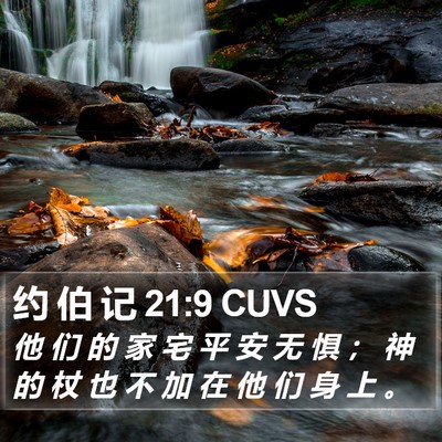 约 伯 记 21:9 CUVS Bible Verse Image
