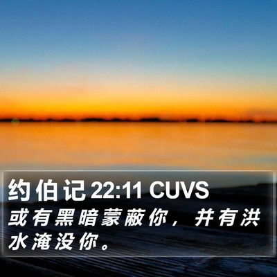 约 伯 记 22:11 CUVS Bible Verse Image