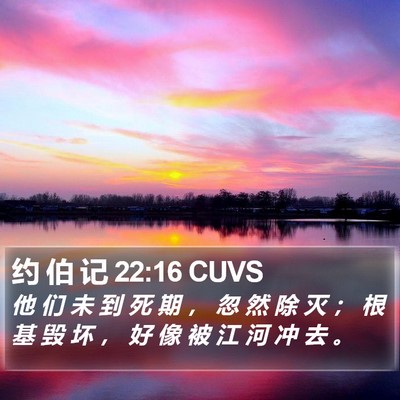 约 伯 记 22:16 CUVS Bible Verse Image