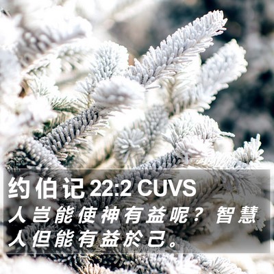 约 伯 记 22:2 CUVS Bible Verse Image