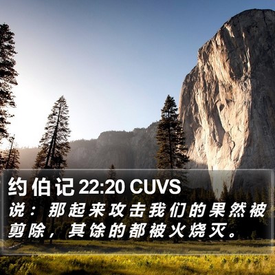 约 伯 记 22:20 CUVS Bible Verse Image