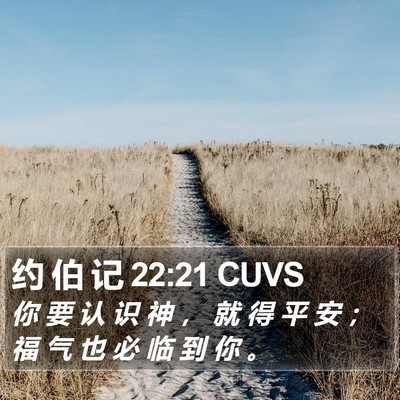 约 伯 记 22:21 CUVS Bible Verse Image