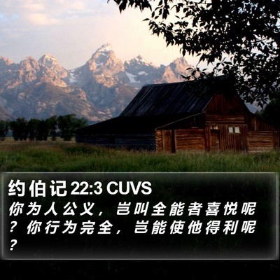 约 伯 记 22:3 CUVS Bible Verse Image