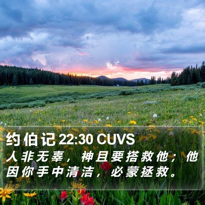 约 伯 记 22:30 CUVS Bible Verse Image