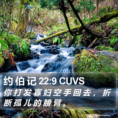 约 伯 记 22:9 CUVS Bible Verse Image