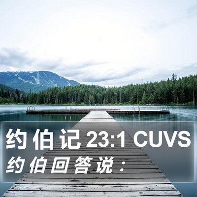 约 伯 记 23:1 CUVS Bible Verse Image