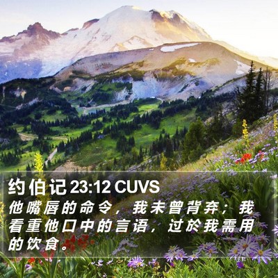 约 伯 记 23:12 CUVS Bible Verse Image