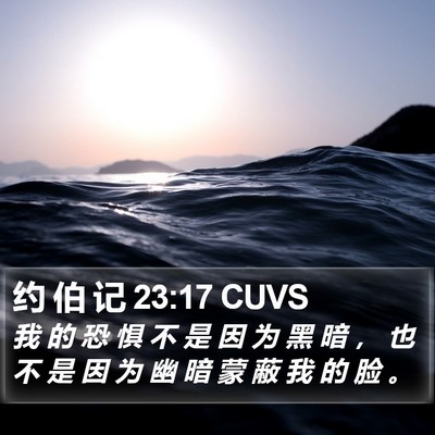约 伯 记 23:17 CUVS Bible Verse Image