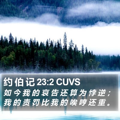 约 伯 记 23:2 CUVS Bible Verse Image