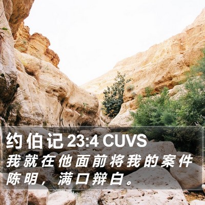 约 伯 记 23:4 CUVS Bible Verse Image