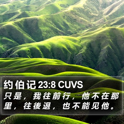 约 伯 记 23:8 CUVS Bible Verse Image