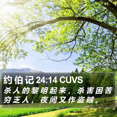 约 伯 记 24:14 CUVS Bible Verse Image