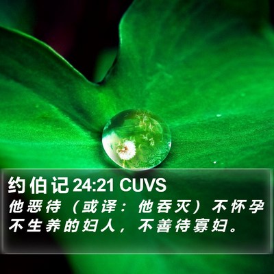 约 伯 记 24:21 CUVS Bible Verse Image