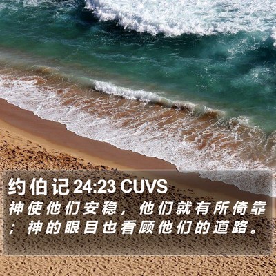 约 伯 记 24:23 CUVS Bible Verse Image