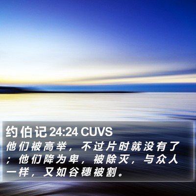 约 伯 记 24:24 CUVS Bible Verse Image