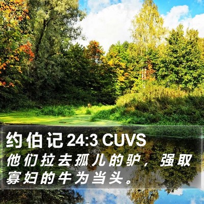 约 伯 记 24:3 CUVS Bible Verse Image