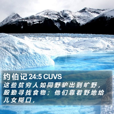 约 伯 记 24:5 CUVS Bible Verse Image