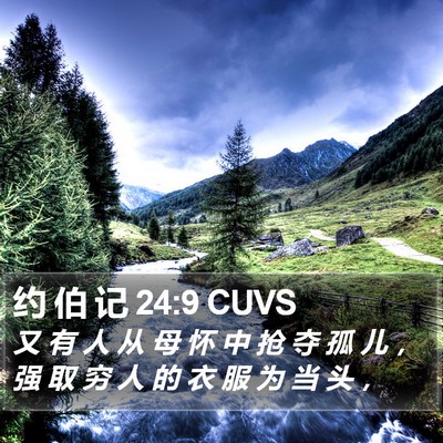 约 伯 记 24:9 CUVS Bible Verse Image