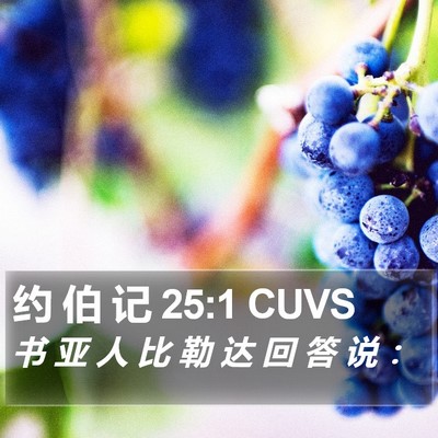 约 伯 记 25:1 CUVS Bible Verse Image