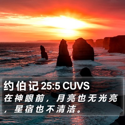 约 伯 记 25:5 CUVS Bible Verse Image