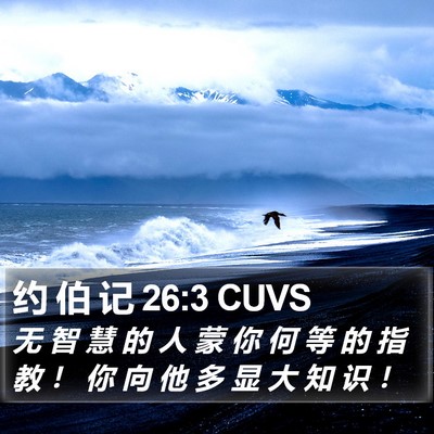 约 伯 记 26:3 CUVS Bible Verse Image
