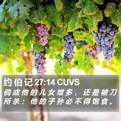 约 伯 记 27:14 CUVS Bible Verse Image