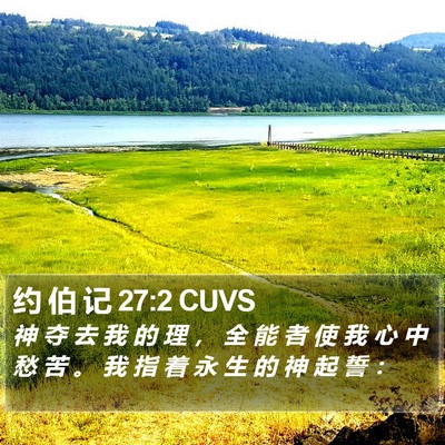 约 伯 记 27:2 CUVS Bible Verse Image